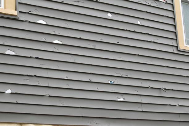 Affordable Siding Repair and Maintenance Services in Watertown, NY